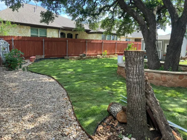 Professional landscaping in Austin